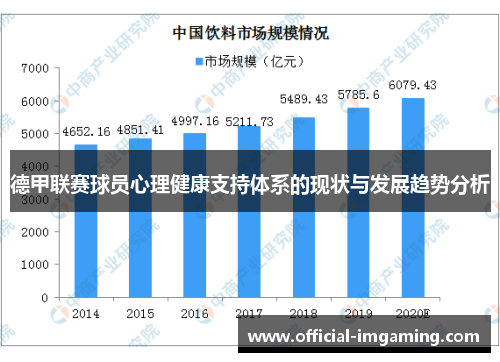 德甲联赛球员心理健康支持体系的现状与发展趋势分析