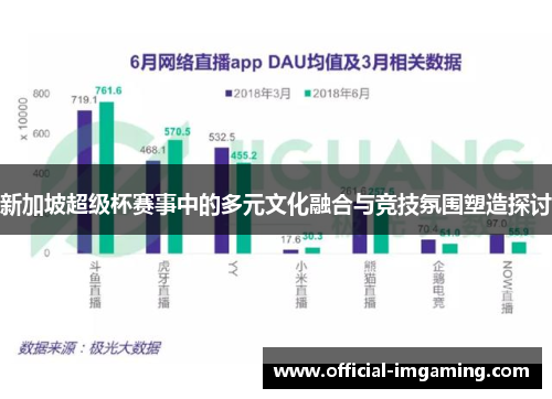 新加坡超级杯赛事中的多元文化融合与竞技氛围塑造探讨