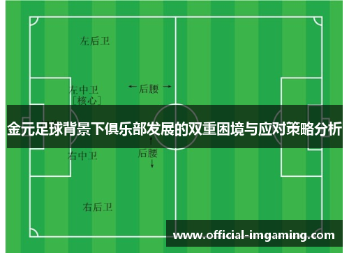 金元足球背景下俱乐部发展的双重困境与应对策略分析