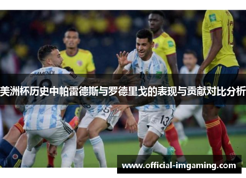 美洲杯历史中帕雷德斯与罗德里戈的表现与贡献对比分析
