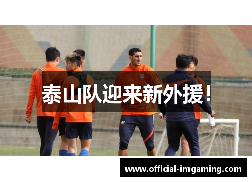 泰山队迎来新外援！