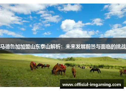 马德鲁加加盟山东泰山解析：未来发展前景与面临的挑战