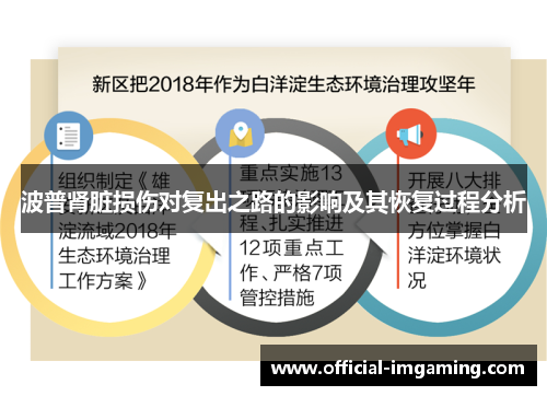 波普肾脏损伤对复出之路的影响及其恢复过程分析