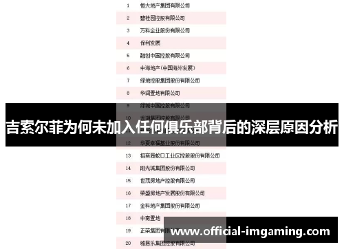 吉索尔菲为何未加入任何俱乐部背后的深层原因分析