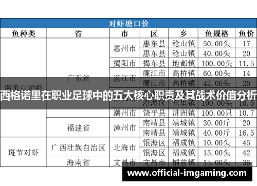 西格诺里在职业足球中的五大核心职责及其战术价值分析